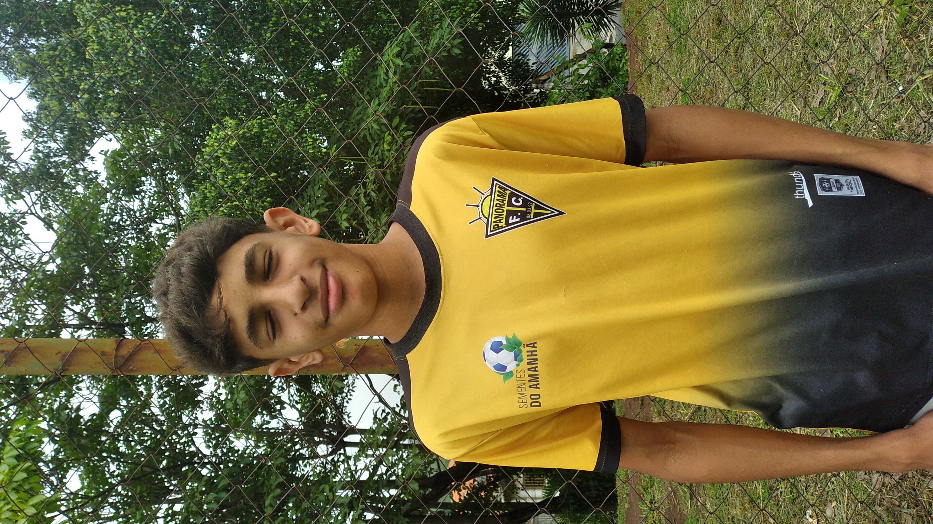 Miguel de Araújo Gomes